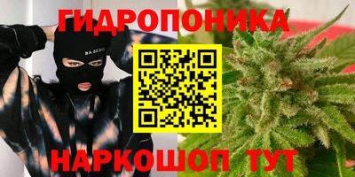 дмт Сланцы