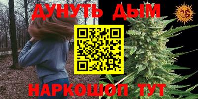 дмт Сланцы