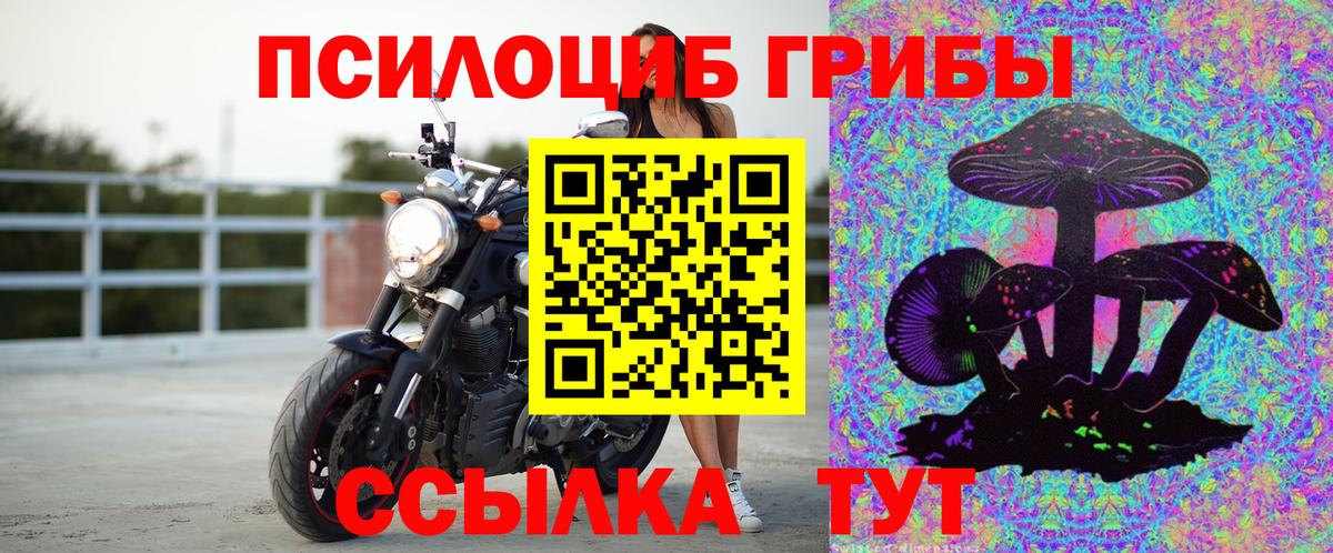 Галлюциногенные грибы прущие грибы Самара