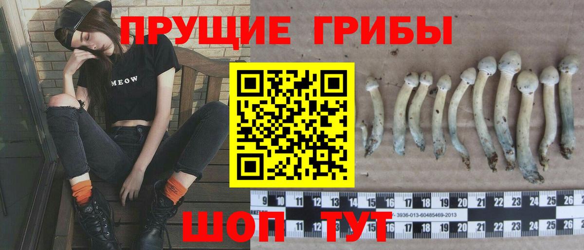 Самара  Псилоцибиновые грибы мухоморы  что такое   Галлюциногенные грибы мухоморы  Вход с VPN 